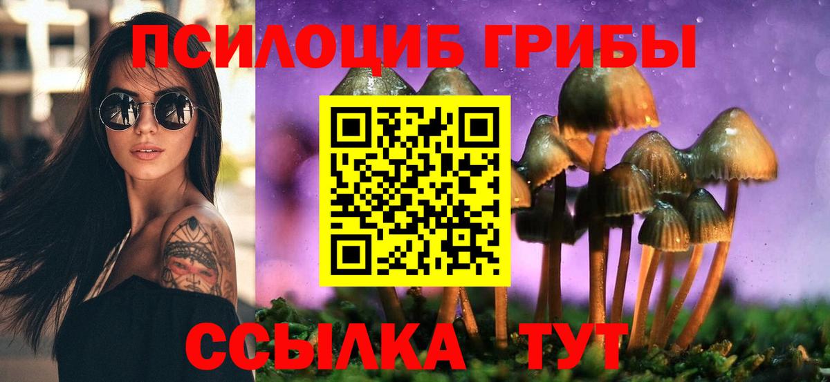 хочу   Псилоцибиновые грибы Magic Shrooms  Вход с VPN  Псилоцибиновые грибы MAGIC MUSHROOMS  Кемерово 