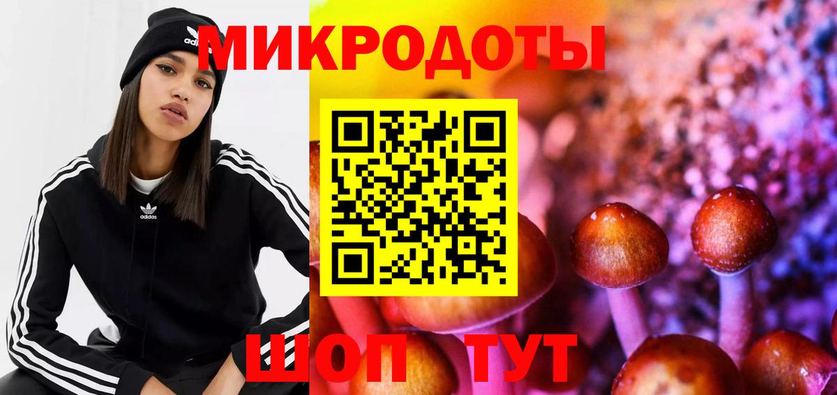 Галлюциногенные грибы Psilocybe Кемерово